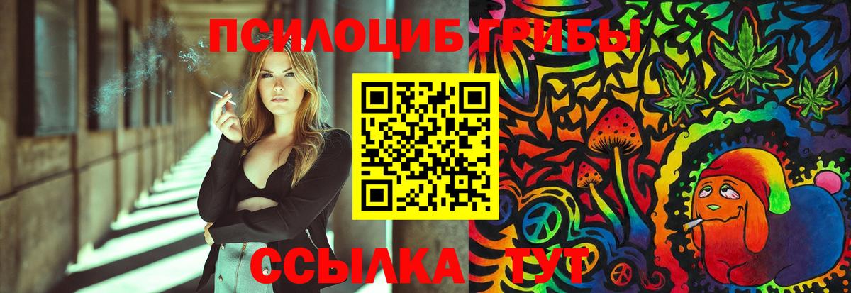 Псилоцибиновые грибы ЛСД Карачаевск