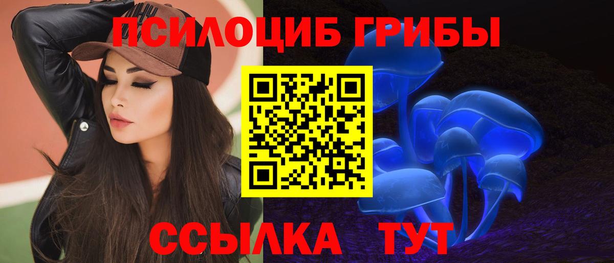 продажа наркотиков  Псилоцибиновые грибы Psilocybe  Вход с VPN  Карачаевск 